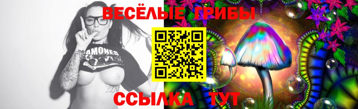 Павловский Посад  Галлюциногенные грибы MAGIC MUSHROOMS  Вход с VPN 